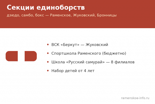 Детские секции единоборств в Раменском округе: дзюдо, самбо, бокс 2026 Детские секции единоборств в Раменском округе: дзюдо, самбо, бокс 2026